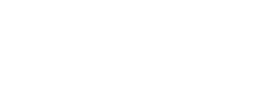 primary logo without border white mono transparent